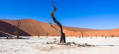 Best of Namibia
