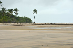 Praia do Céu, Marajó