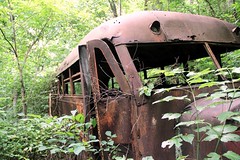 The Abandoned School Bus