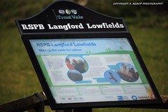 RSPB Langford Lowfields 15/04/2022