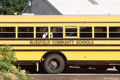 Blissfield Community Schools, MI