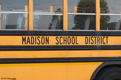 Madison School District, MI