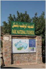 National Park Ichkeul (Tunisia)