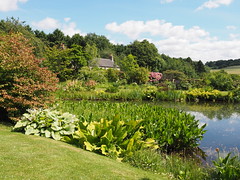 Felley Priory and Gardens
