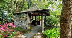 St.Mawgan Japanese Garden