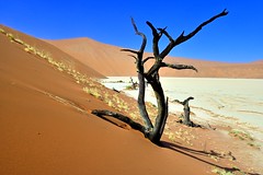 NAMIBIE : Namib Naukluft National Park, Juin 2022