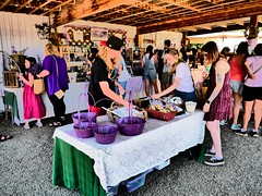 2022-07-10 Lavender Festival at McKenzie River Lavender