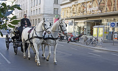 Österreich 2011 Wien