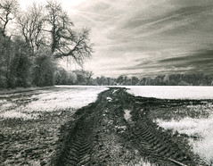Infra-red photography