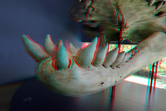 skull Livyatan Melvillei) NHM Rotterdam 3D
