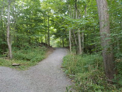TOWN of LOCKPORT NATURE TRAILS and Olcott Beach, NY