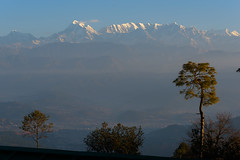 Kausani , Uttarakhand