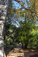 Valencia - Jardín Botánico