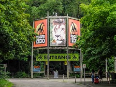Binder Zoo Battle Creek, MI Juli 2022