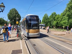 STIB-Tram-160