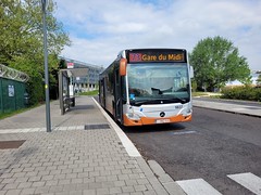 STIB-Bus-73