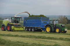 Silage & Maize 2022 