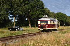 17 juli 2022 | MBS T1 bij de Bentheimer Eisenbahn