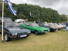 Scottish Ford Day at Lochore Meadows July 2022