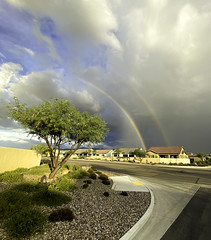 Arizona Rainbows