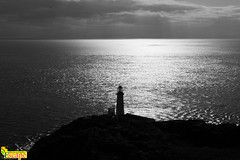 Porth Dafarch & South Stack Lighthouse, Ynys Mon (Angelsey). Cymru (Wales). UK. Europe.