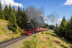 HSB - Harzer Schmalspurbahnen (DE)