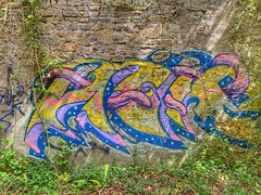 Wall Art & Graffiti