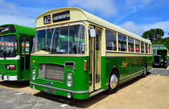 Brislington Bus Rally, Bristol 2022