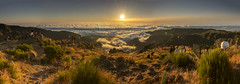 Madeira 5. (Sunrise)