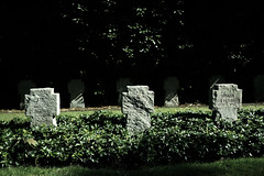 Bergfriedhof Essen 2022