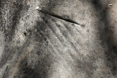 Backcountry Petroglyph