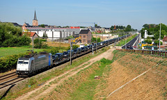 Nieuwe fotopunten langs de nieuwe omleidingsweg in Diepenbeek