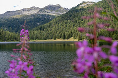 Lago delle Malghette - Trentino