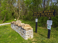 Nine Penny Branch Nature Preserve - 2022