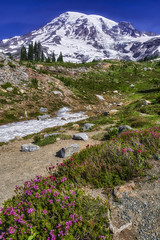 Mt. Rainier - Paradise and Reflection Lakes Wildflowers - August 8, 2022