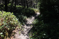 Cut Creek Trail - North Loop