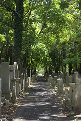Bayside Cemetery