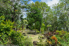 Mamiku Gardens