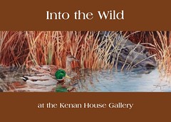 INTO THE WILD: Exhibit at the Kenan Center