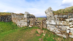 Hadrian's Wall - Northumberland