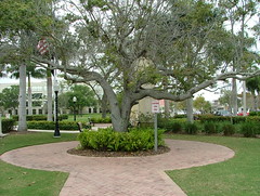 City of Port Saint Lucie Florida