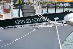 Tall Ship - Appledore IV