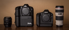 Kodak-Canon EOS-1n  DCS 5c (1997) / Canon EOS-1D Mark IV  (2009)