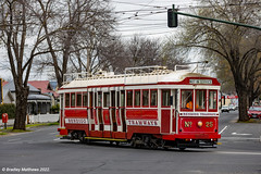 Trams or Light Rails