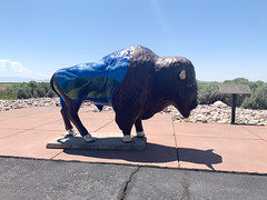 Painted Bison