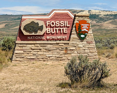 Fossil Butte National Monument & Bear River State Park, Wyoming