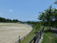 Early summer walk, Ikoma @Nara,Jul2022