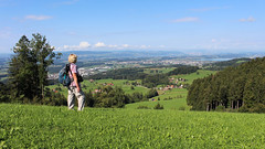 Schweiz - Kanton Zürich / Region Züricher Oberland - Wald ZH-Steg im Tösstal