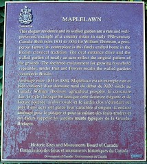 Maplelawn