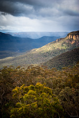 Scenery - Blue Mountains